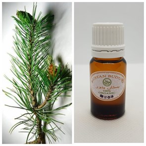 32 Эфирное масло Сосна синамская Pinus Silvestris L., 10 мл