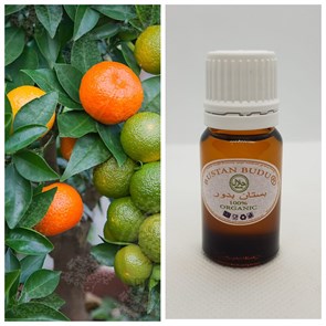 60 Эфирное масло Мандарин итальянский (танжерин) Citrus reticulata Blanco, 10 мл