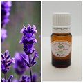 17 Эфирное масло Лаванда крымская Lavandula angustifolia, 5 мл 7756