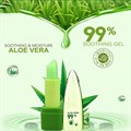 Магическая татуажная помада 99% ALOE VERA в упаковке в виде листа алоэ 3619