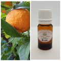 02 Эфирное масло Апельсин горький (бигардия, померанец) Citrus Aurantium, 5 мл - фото 5551