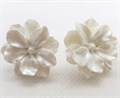 Серьги Белые цветы, перламутровый пластик - фото 7209