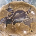 Колье Z двойное (позолота) 7590 Колье Z двойное (позолота) 7590