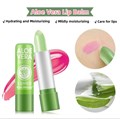 Магическая татуажная увлажняющая помада с 99% компонентов алоэ Aloe Lipstick 3467