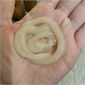 Бальзам-афродизиак смоляной с мускусом и ценнейшим янтарем для волос любого типа Al Amber "Владыка Янтарь", 200 мл 589