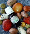 Королевская Усиленная смесь масел на Мирре йеменской Commiphora mirrha и Ладане Boswellia serrata, 10 мл 1258